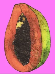 Papaye, 2009
